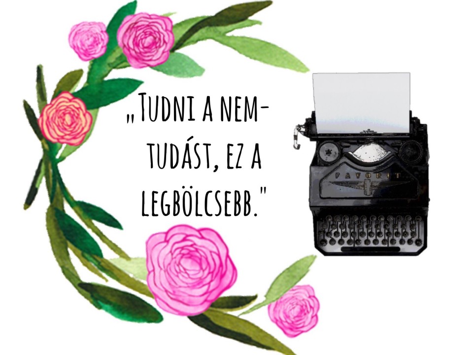 Napi idézet