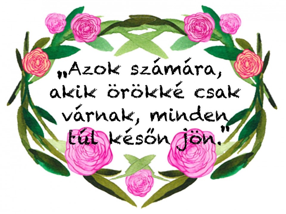 Napi idézet