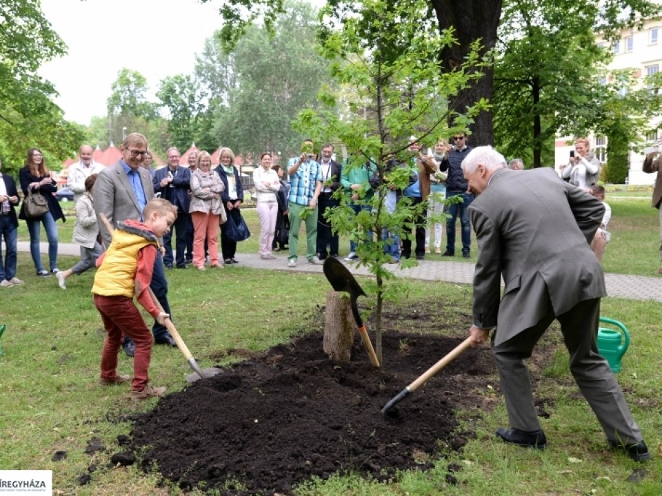 Egy zöldebb jövőért! - Pályázati felhívás