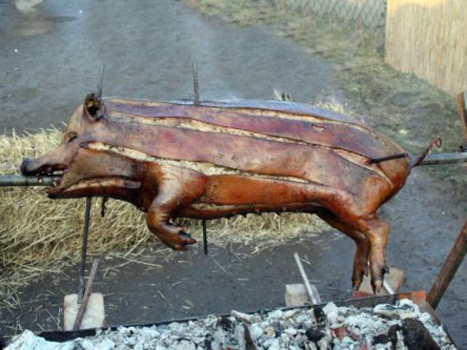 XVI. NEMZETKÖZI BÖLLÉRVERSENY