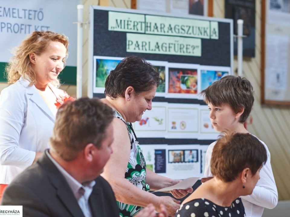 MIÉRT HARAGSZUNK A PARLAGFŰRE?
