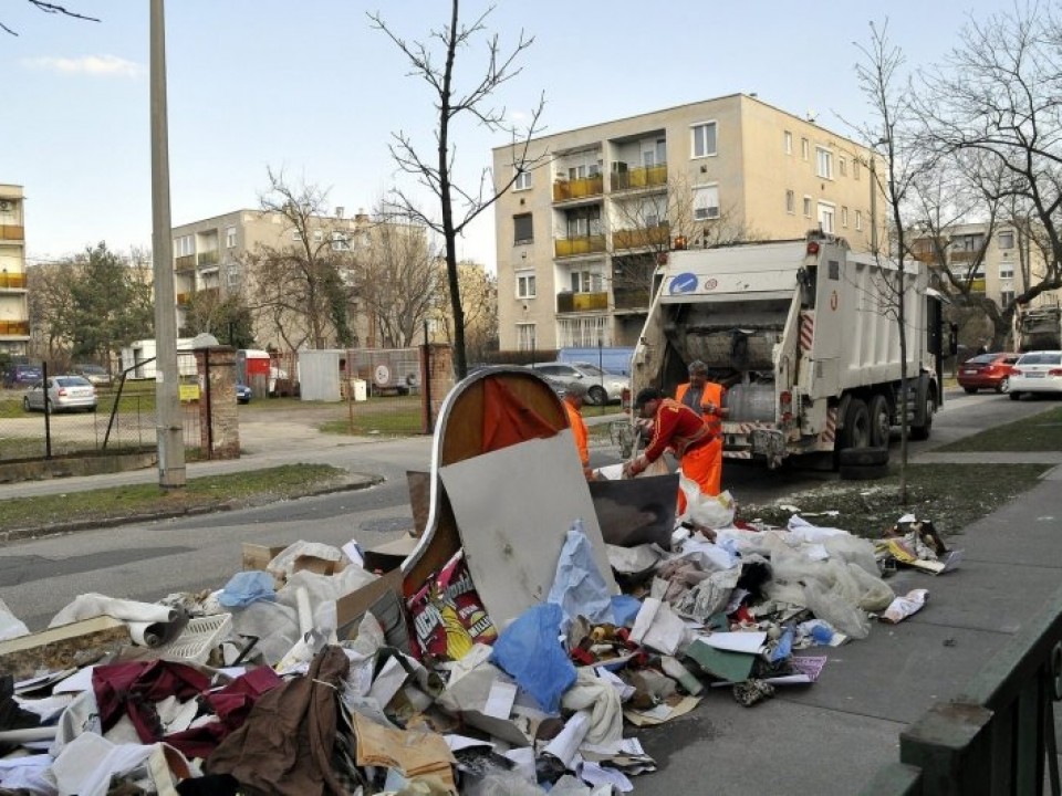Jön a tavasz, megy a lom - Mit? Mikor? Hogyan?