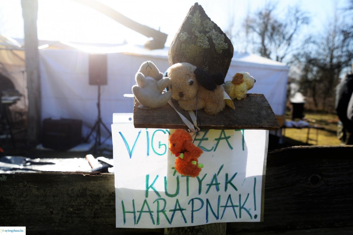 Izgalmas képösszefoglaló a Disznótoros Fesztiválról! Óriási volt a hangulat!