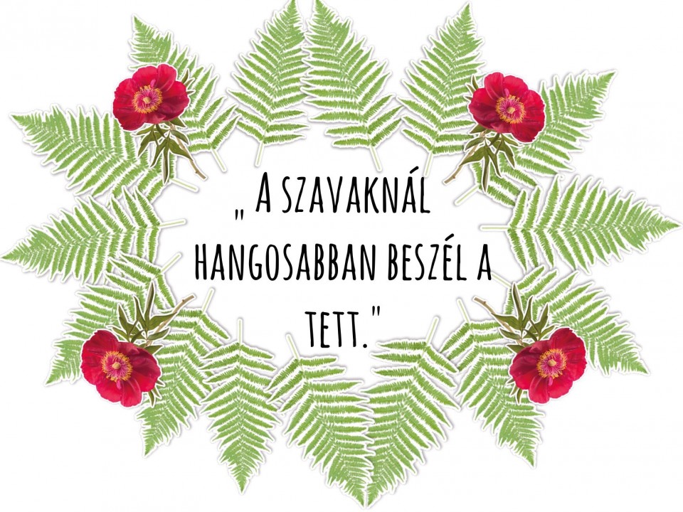 Napi idézet
