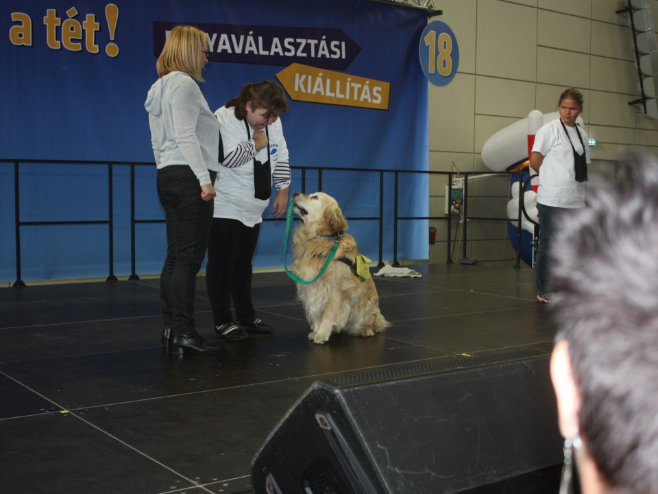 Pályaválasztási Kiállításon a Ridens