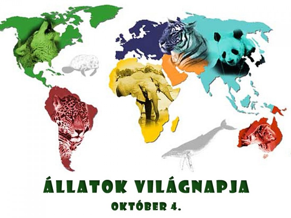 MA VAN AZ ÁLLATOK VILÁGNAPJA!
