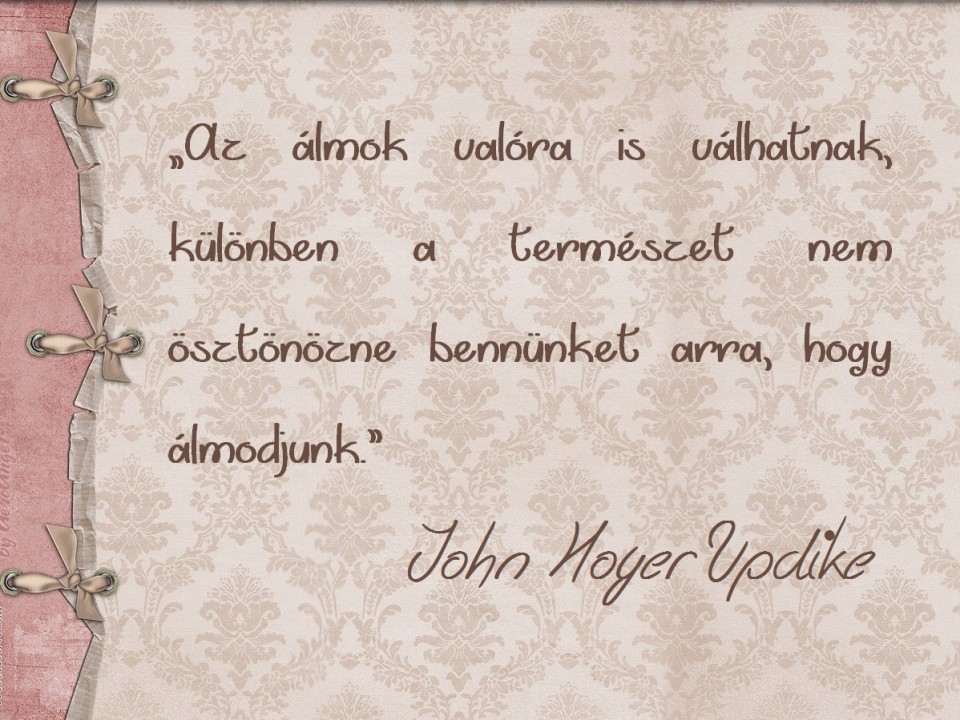 Napi idézet