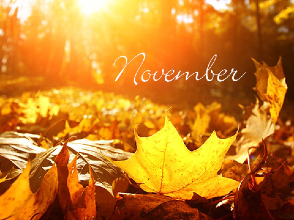 Amit a novemberről tudnod kell