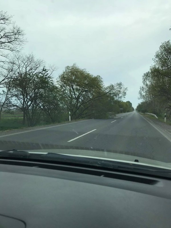 Így érkezett a vihar Nyíregyházára és környékére! - Sok helyen kidőlt fák az úttesten