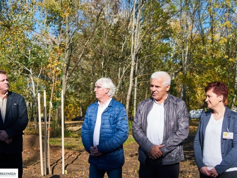 HARMINC FACSEMETE SZÉPÍTI A SZEGFŰ UTCÁT 