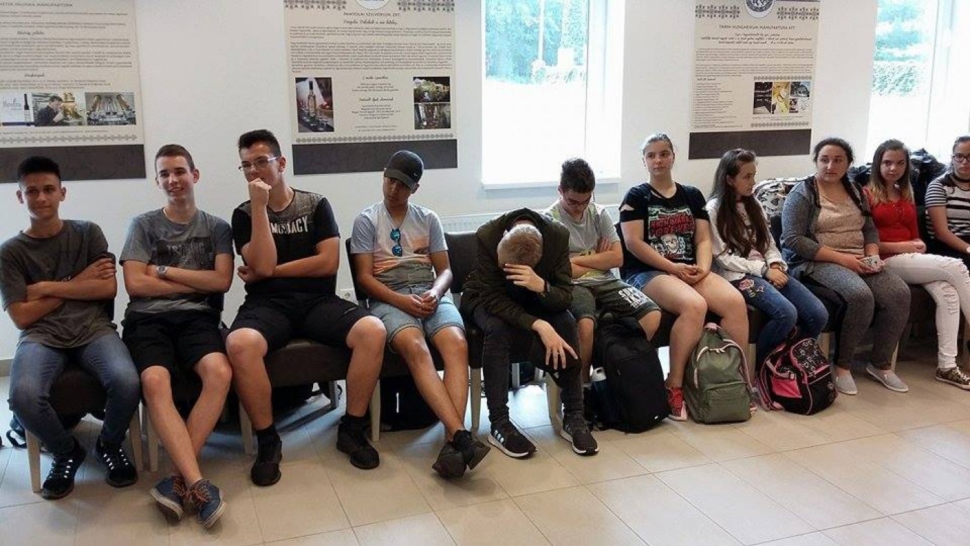 Gyógynövényekkel ismerkedtek a sipkaysok