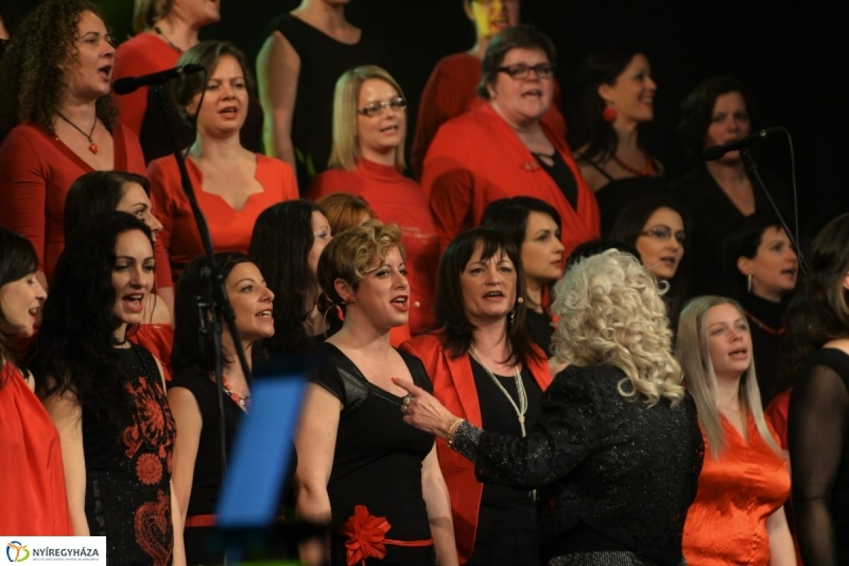 ZIG-Singers koncert fotók