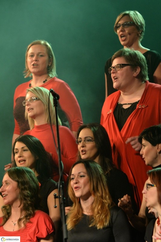 ZIG-Singers koncert fotók
