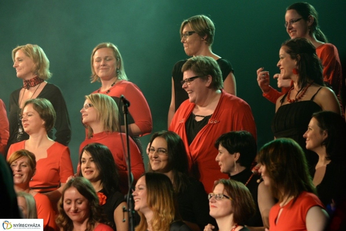ZIG-Singers koncert fotók