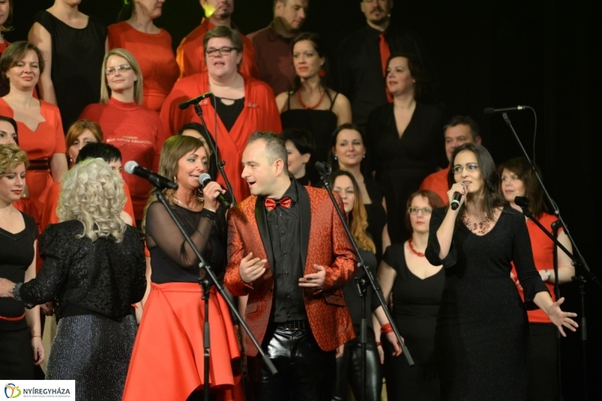 ZIG-Singers koncert fotók