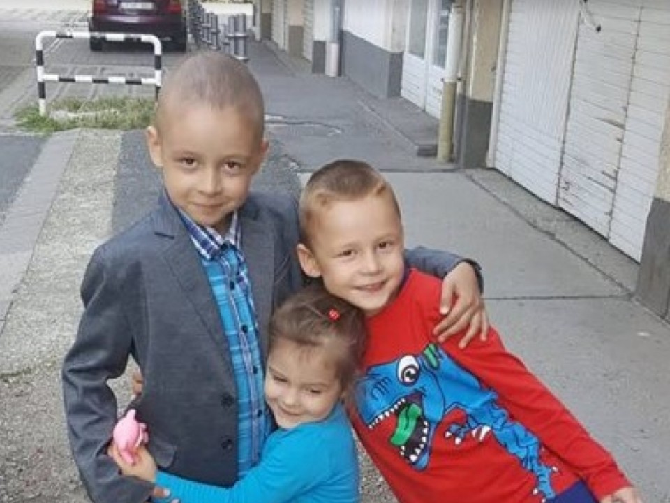 ÚJABB CSATA VÁR LACKÓRA, A LEUKÉMIÁS KISFIÚRA