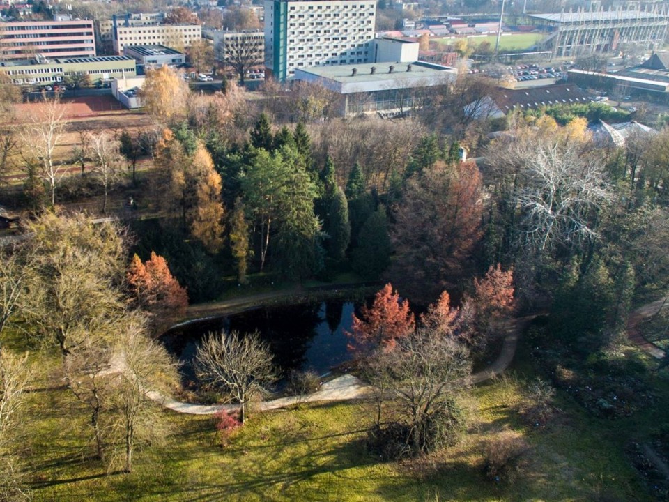 A BÚCSÚZÓ ŐSZ SZÍNEI A BOTANIKUS KERTBEN