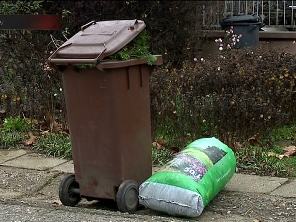 A LOMBHULLÁSRA VALÓ TEKINTETTEL EGY KÖTEG ZÖLDHULLADÉKOT TÉRÍTÉSMENTESEN ELSZÁLLÍTANAK