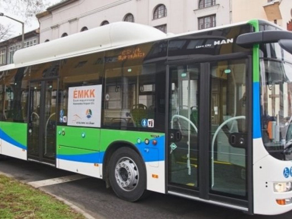 Folyamatos a buszmenetrend korrekciója: sűrűbb lesz hétvégétől a nyolcas, újraindul az 1/A