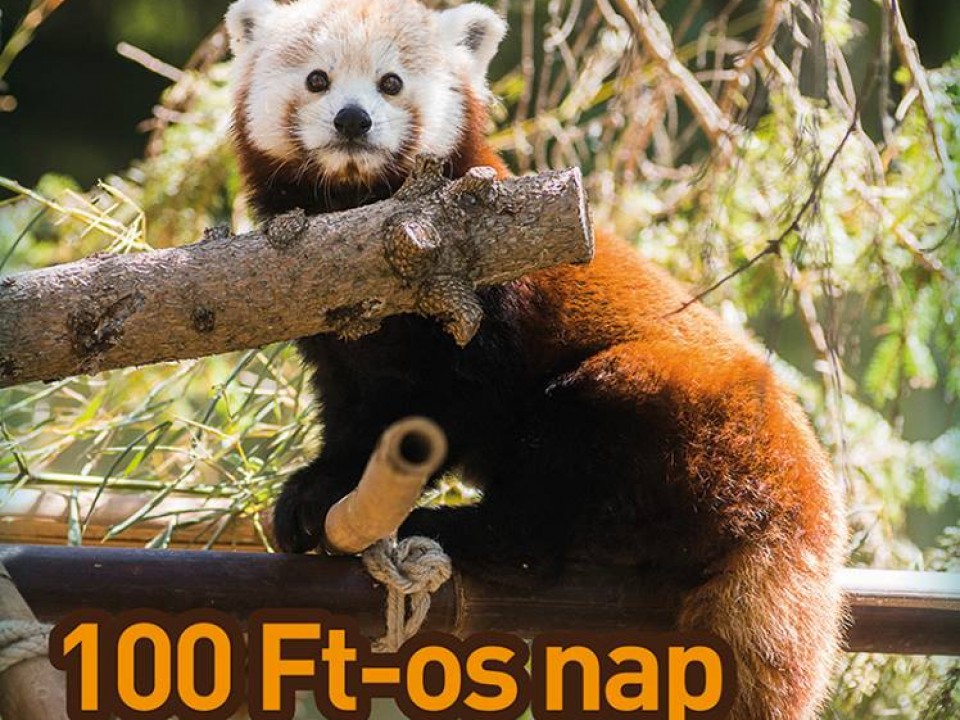 100 Ft lesz a belépő az állatparkba