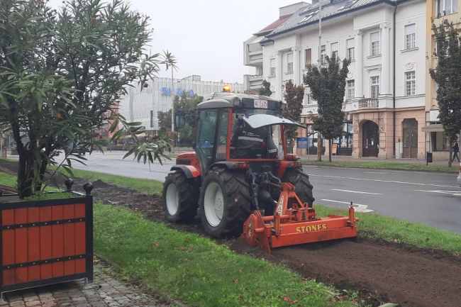 Őszi virágosítás Nyíregyházán!