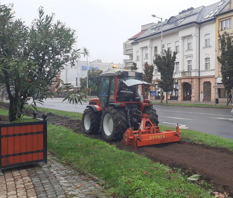 Őszi virágosítás Nyíregyházán!