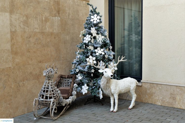 Adventi programok Nyíregyházán! 