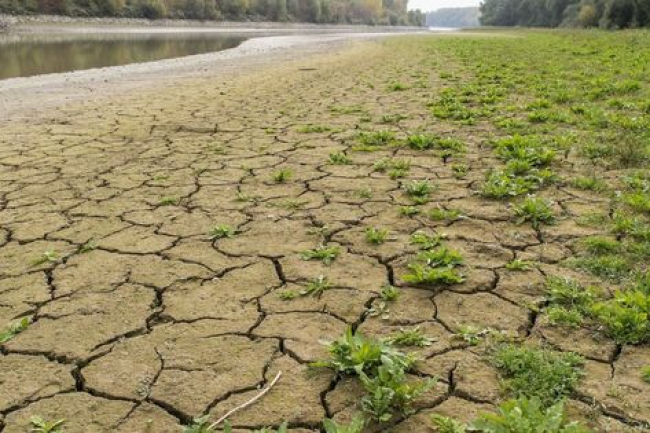 Brit tanulmány: általánossá válhatnak a rekordmagas hőhullámok 2035-re