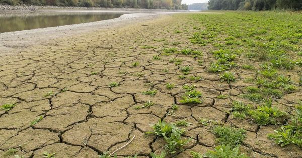 Brit tanulmány: általánossá válhatnak a rekordmagas hőhullámok 2035-re