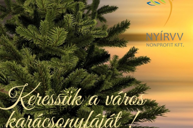 Keressük a város karácsonyfáját!