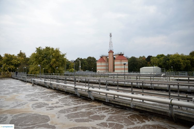 Csatornahasználati etikett – Rengeteg szemét kerül a csatornahálózatba Nyíregyházán