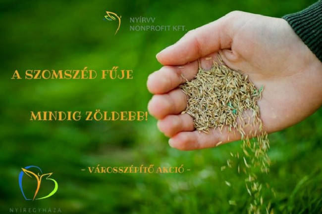 A szomszéd fűje mindig zöldebb!