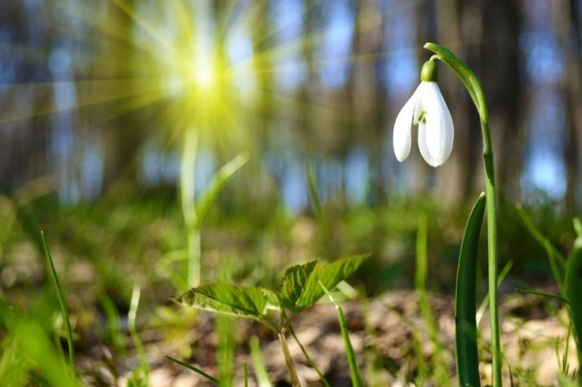 Kora tavaszias idővel indul a hét
