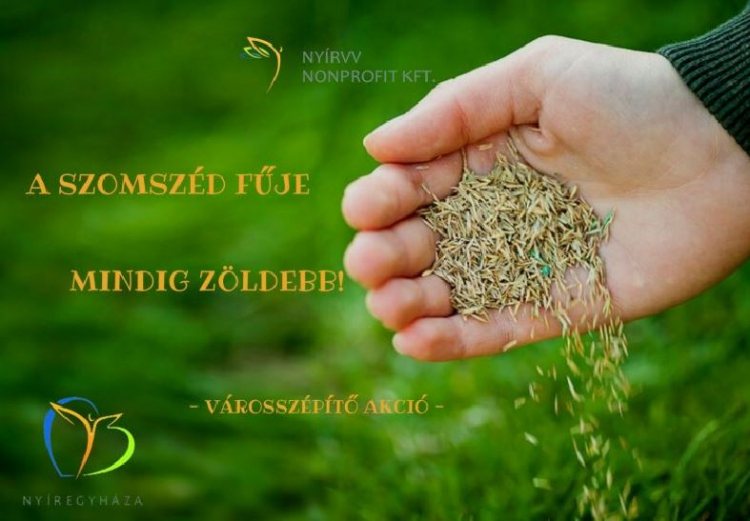 A szomszéd fűje mindig zöldebb!