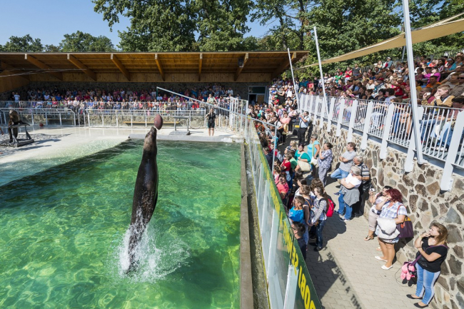 Ismét elnyerte a Nyíregyházi Állatpark a Családbarát szolgáltatóhely címet