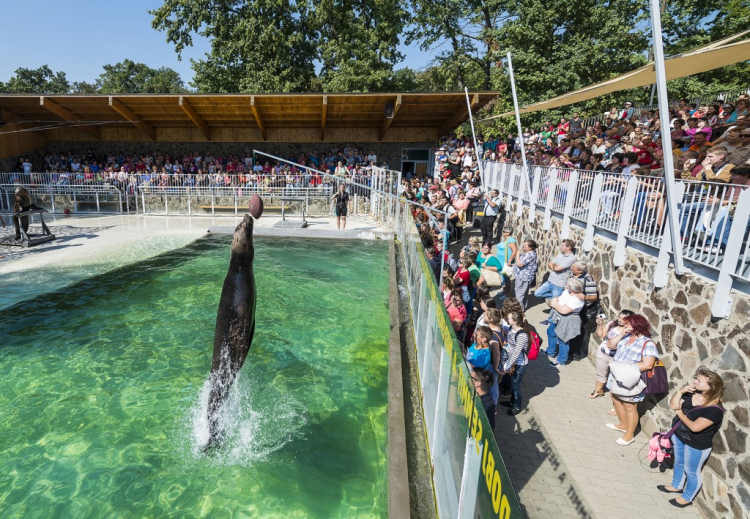 Ismét elnyerte a Nyíregyházi Állatpark a Családbarát szolgáltatóhely címet