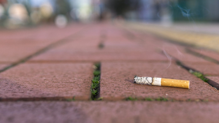 Cigarettacsikk buktatta le a tolvajt