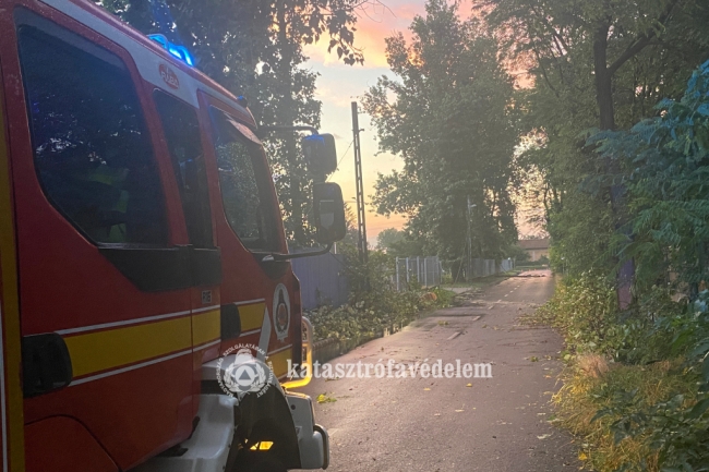 Viharkárok, köztük huszonnégy sérült fa