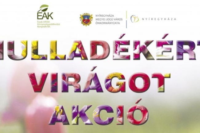 Hulladékért virágot akció