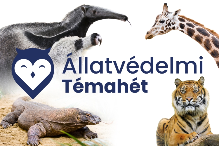 Kedvezményes belépés az Állatvédelmi Témahét alkalmából Nyíregyházi Állatparkba