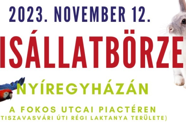 A hétvégén ismét kisállatbörze lesz Nyíregyházán!