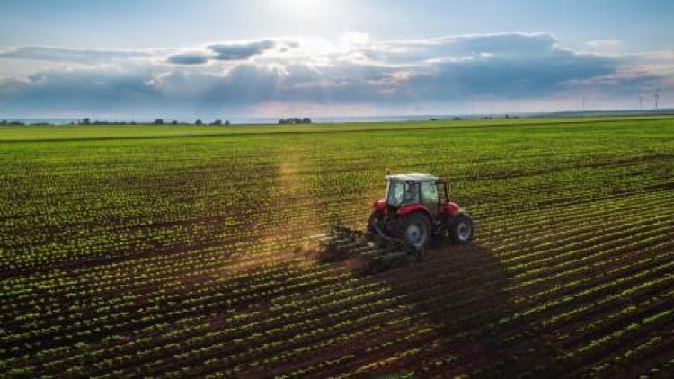 VII. Agropódium: takarmányozástól a drónokig számos érdekességet érintettek