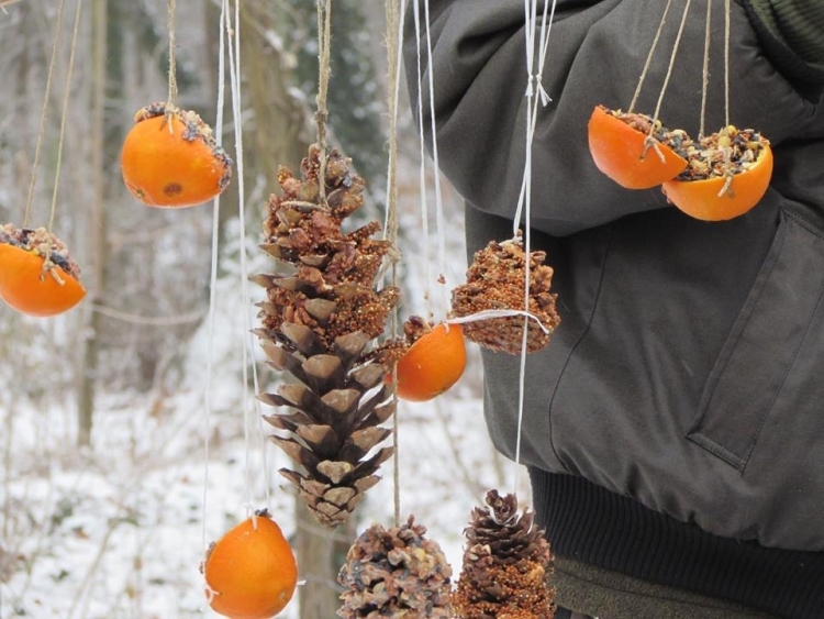 Madárkarácsony - Advent a madarakkal a nyíregyházi Sóstói-erdőben