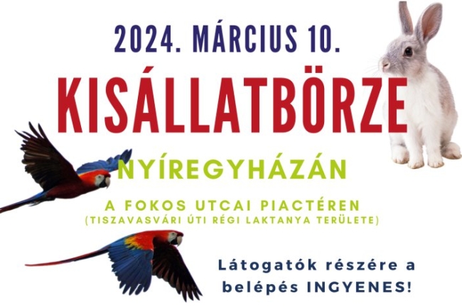 Van egy cuki hírünk! Ismét állatbörze lesz Nyíregyházán!
