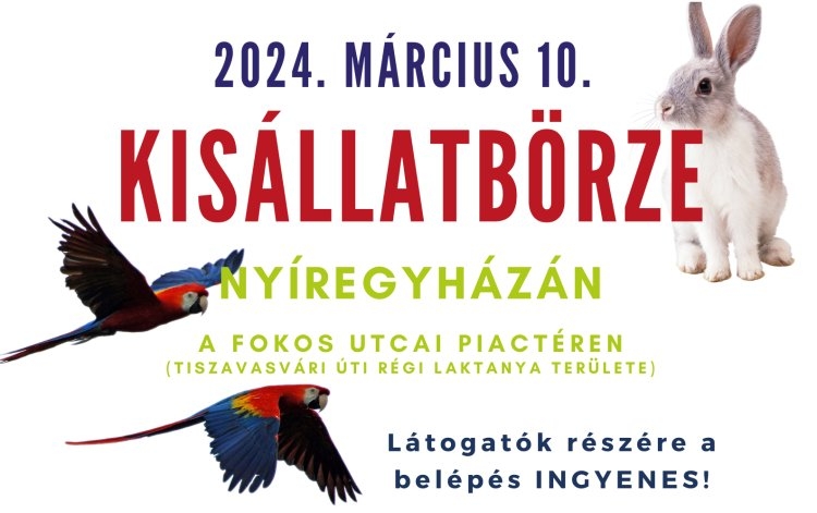Van egy cuki hírünk! Ismét állatbörze lesz Nyíregyházán!