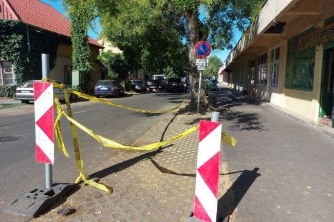 Faápolási, fametszési munkálatokat végez a NYÍRVV
