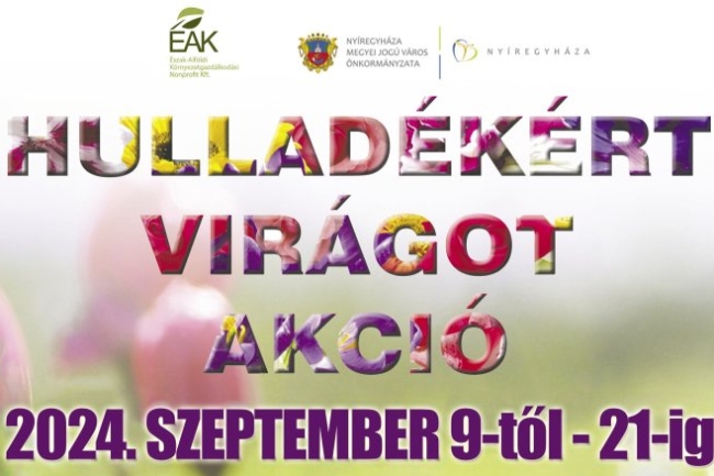 Ugye tetszik tudni? Nyíregyházán a hulladékért virág dukál!