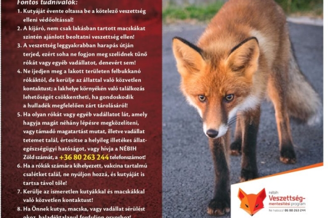 Veszettség - A megelőzés fontosságára hívja fel a figyelmet a rendőrség!
