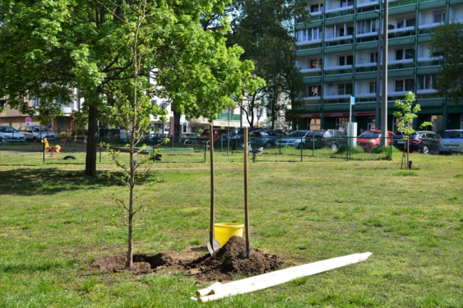 Városi biológiai sokféleség: lehet természet a betonrengetegben
