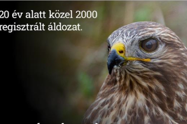 20 év alatt 2000 áldozat - A megmérgezett állatok már hallgatnak